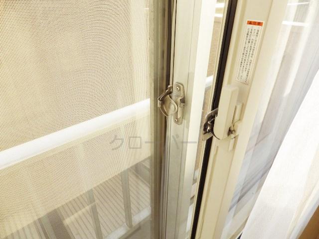 Other introspection. Double sash