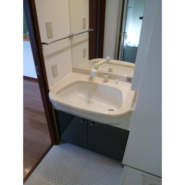 Wash basin, toilet. Shower basin