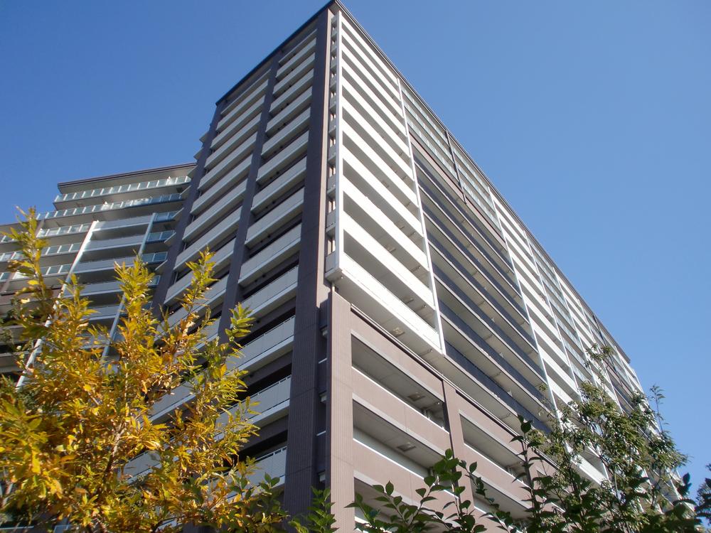 Local appearance photo. Local (11 May 2013) Shooting