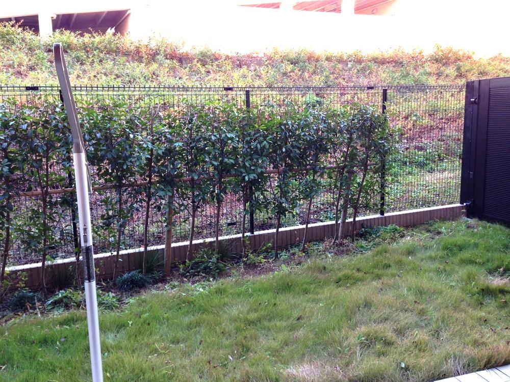 Garden. Private garden (11 May 2013) Shooting