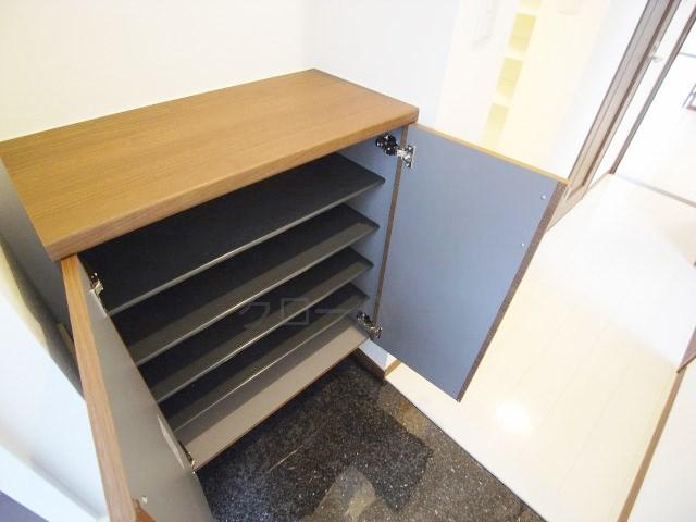 Entrance. Footwear purse