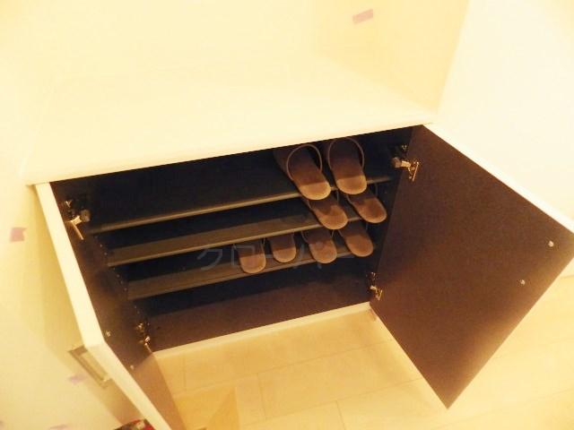 Entrance. Footwear purse