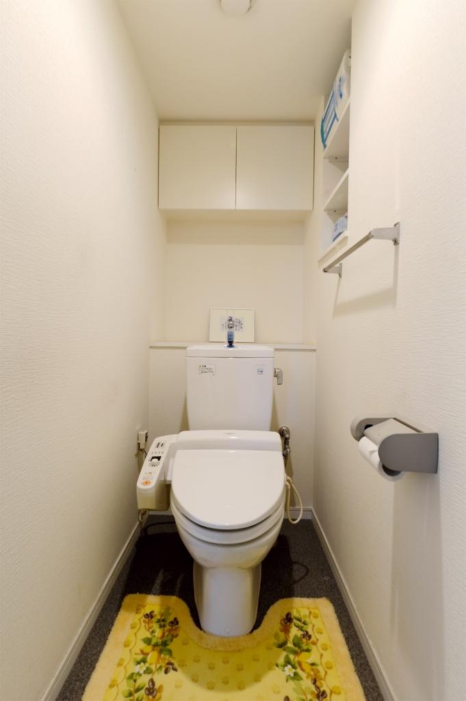 Toilet. Indoor (11 May 2013) Shooting