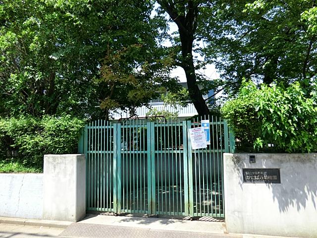 Other. Oxalis kindergarten