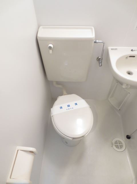 Toilet. Western-style toilet