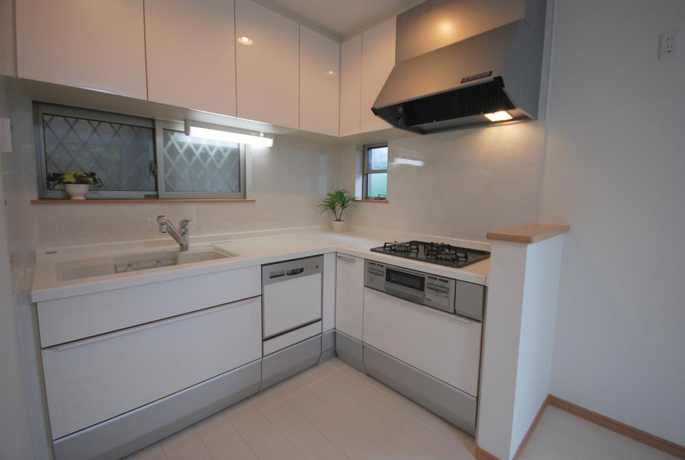 Kitchen. Local Photos