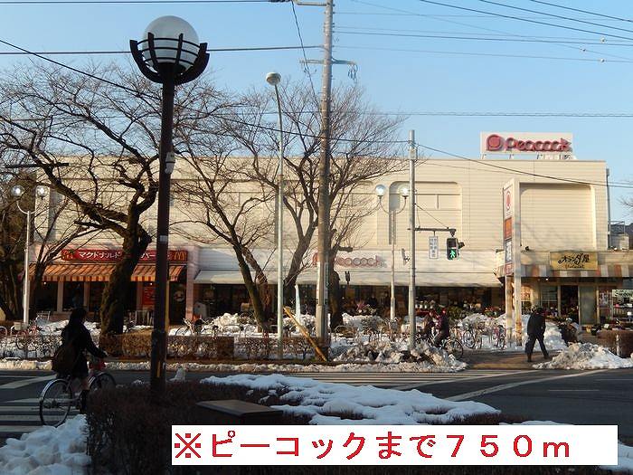 Supermarket. 750m until Peacock (super)