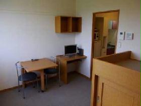 Living and room. 2F room