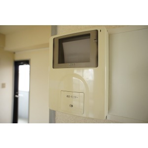 Security. TV monitor phone