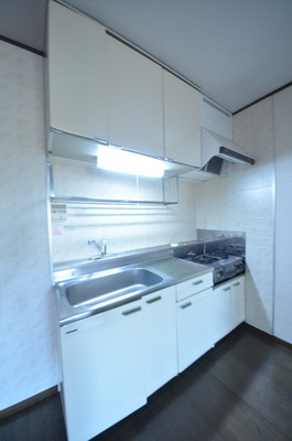 Kitchen. Gas stove with kitchen