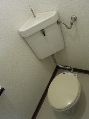 Toilet. Toilet