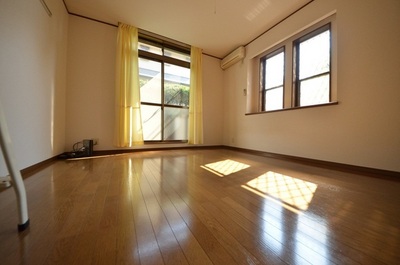 Living and room. Two-sided lighting, Bright is