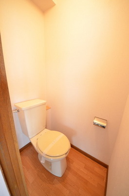 Toilet. ☆ Loose your toilet ☆