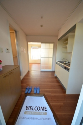 Entrance. The view from the front door