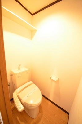 Toilet. ☆ Clean toilet ☆