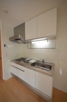 Kitchen. System kitchen