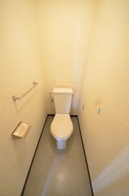 Toilet. ☆ Loose your toilet ☆