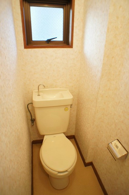 Toilet. There toilet window