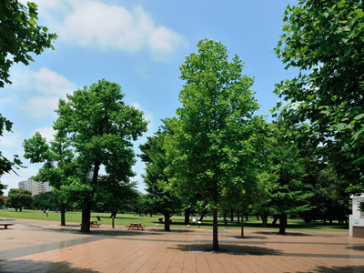 Surrounding environment. Musashi Kokubunji park (about 2320m / 29 minutes walk)