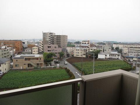 View photos from the dwelling unit. View from the local site (June 2013) Shooting