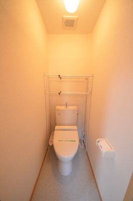 Toilet. Warm water washing toilet seat