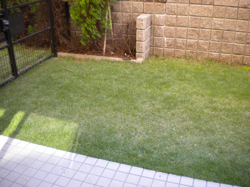 Garden. Local (11 May 2013) Shooting