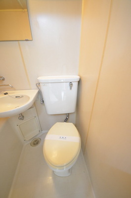 Toilet.  ☆ Clean toilet ☆