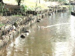 park. 1630m to Shiroyama Park