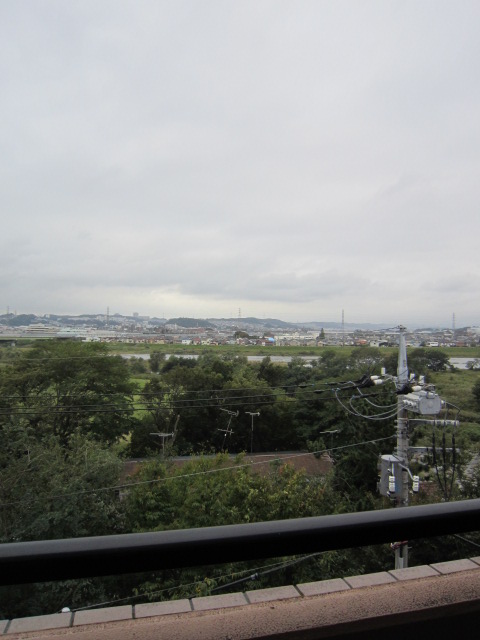 View. The view from the fifth floor is outstanding. Heart will be healed.