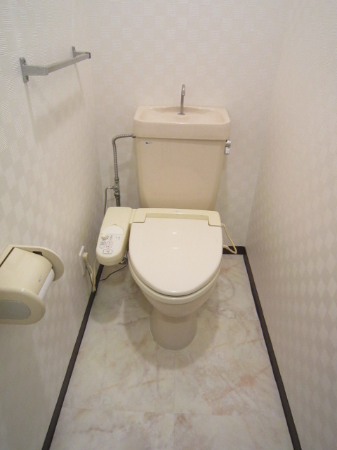 Toilet. Warm water washing toilet seat