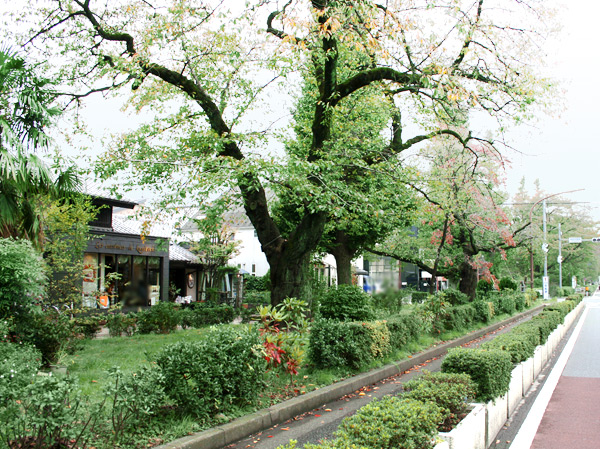 Surrounding environment. Street University (about 590m / An 8-minute walk)
