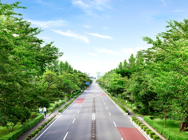 Surrounding environment. Selected as the new Tokyo Hyakkei of Tokyo symbols Street ( ※ 1) "Street University" ※ Posted photos of (October 2013 shooting) is CG synthesis the person or the like to those obtained by photographing the north direction from the vicinity of the National City East 4-chome (the ground about 6.6m) ・ Which was processed, In fact a slightly different. Also surrounding environment might change in the future. (About 270m / 4-minute walk) ※ 1 New Tokyo hundred Jing, "Citizens of the day," 100 of the landscape that has been selected by the Tokyo Metropolitan Government in commemoration to October 1, 1982 the enactment 30 anniversary.