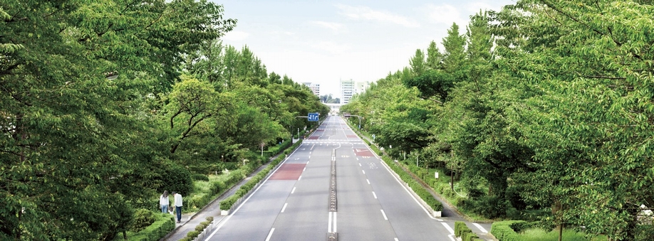 University Street extending from the National Station (about 270m ・ 4-minute walk)