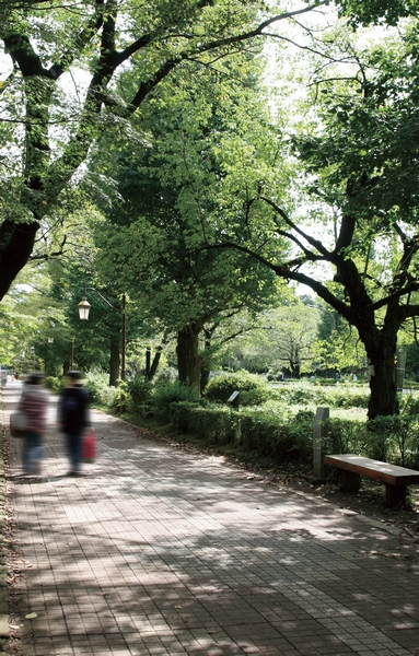 Street University (about 950m ・ A 12-minute walk)
