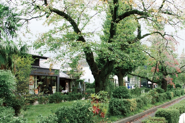 Street University (about 590m ・ An 8-minute walk)