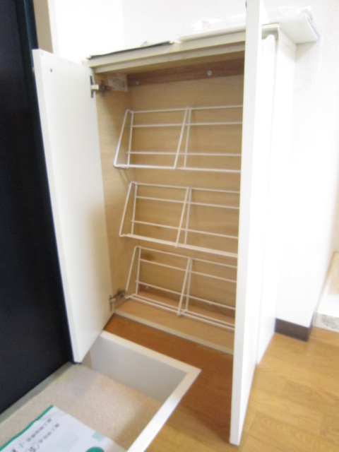 Receipt. There is also a shoe box