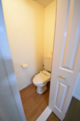 Toilet.  ☆ Loose your toilet ☆