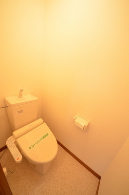 Toilet. Warm water washing toilet seat