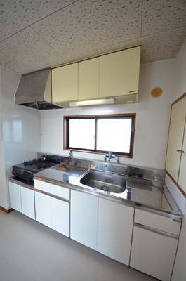 Kitchen. Gas stove with kitchen