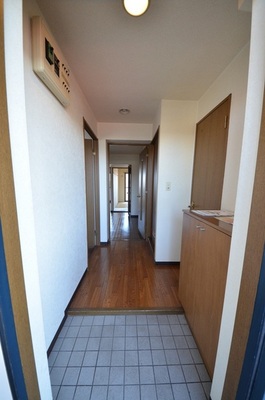 Entrance. The view from the front door