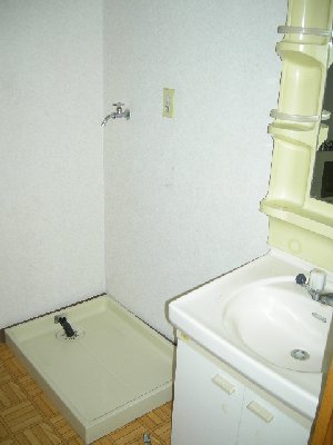 Washroom. Wash dressing room Washing machine in the room