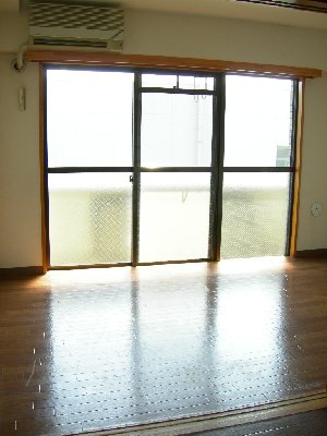 Living and room. Facing south Bright room