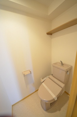 Toilet. ☆ Clean toilet ☆