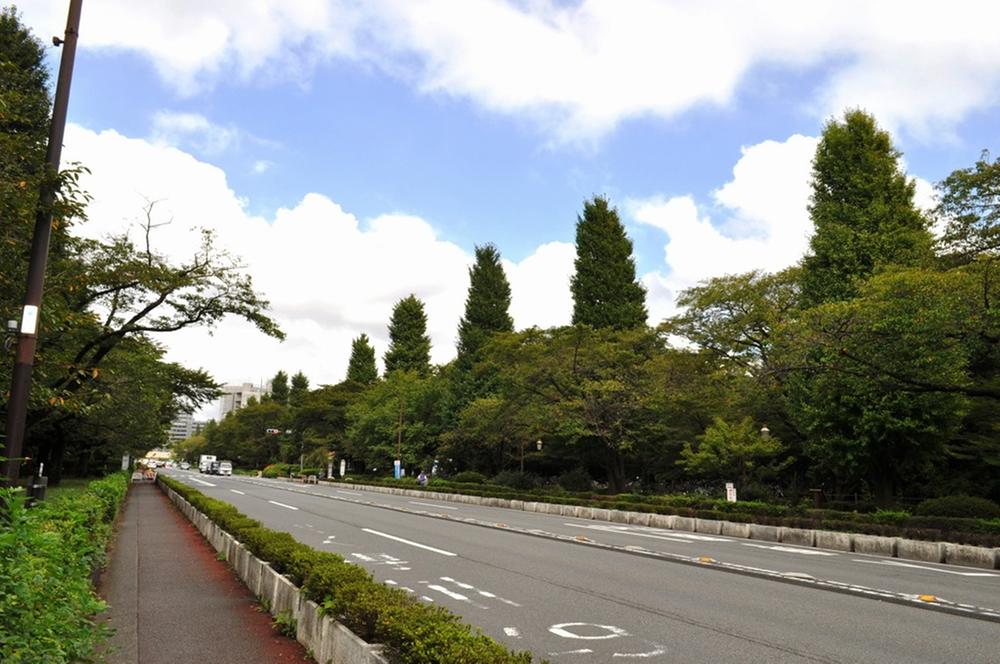 Local photos, including front road