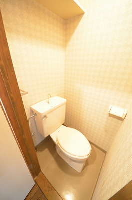 Toilet. ☆ Loose your toilet ☆