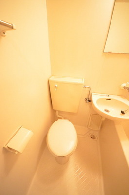 Toilet. Clean toilet