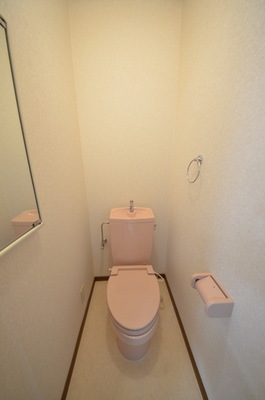 Toilet.  ☆ Clean toilet ☆ 