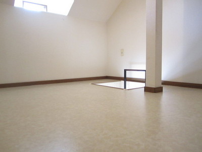 Living and room. Skylight with loft