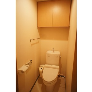 Bath. Bathroom reheating / With dryer