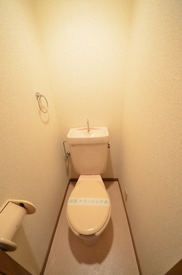 Toilet. ☆ Clean toilet ☆